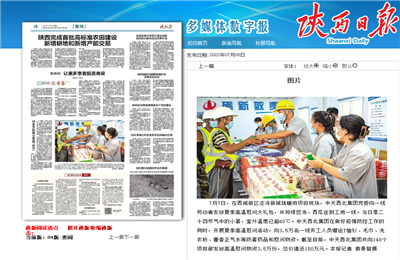 3003新葡的京西北集团珑樾府项目高温慰问——《陕西日报》